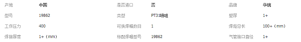 PT31长喷嘴